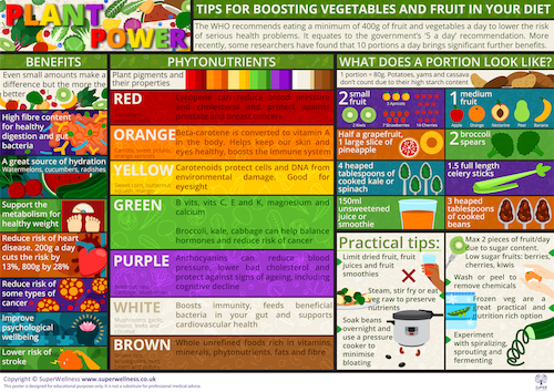 Plant based diet infographic