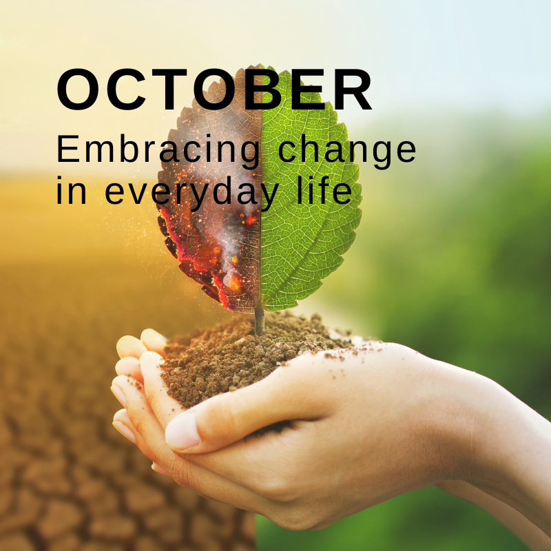 Embracing change in everyday life